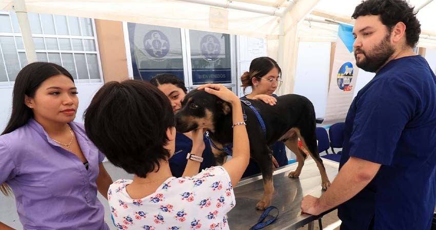 Invita UABCS a su feria de sensibilización y cuidado animal