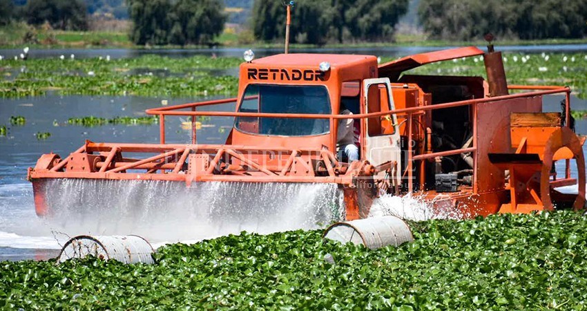 “No llegó la widoo”; Dirección de Ecología sin maquinaria para combatir lirio acuático