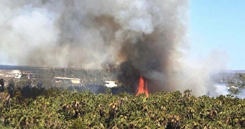 Bomberos de La Paz y Los Cabos atienden tres incendios simultáneos en Todos Santos