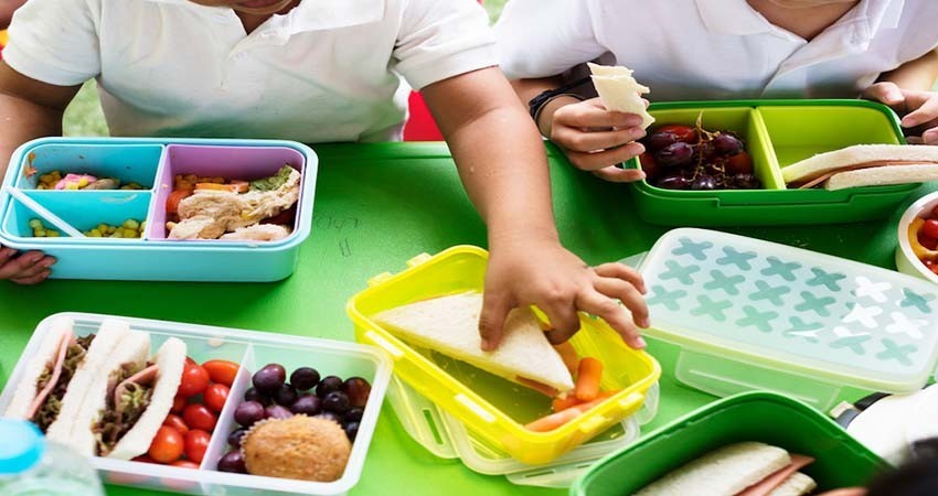 Presenta SEP decálogo de 'Vida Saludable' en escuelas; será obligatorio en 2025