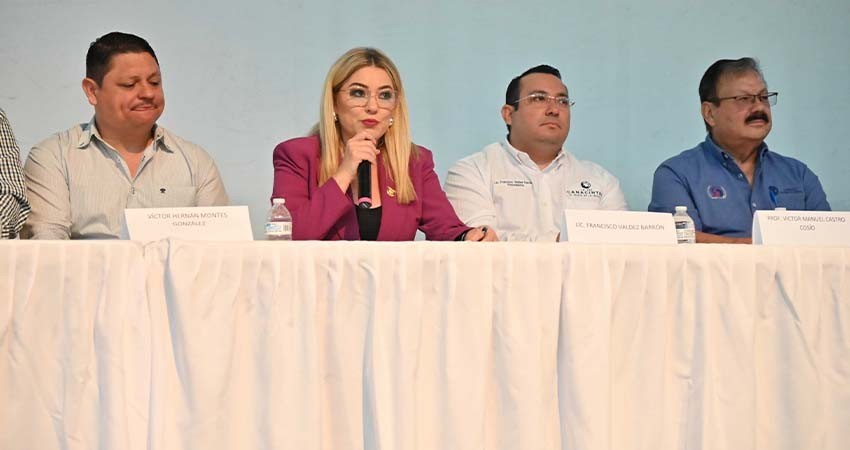 “Sí a las energías limpias y renovables de BCS”: diputada Olivas Parra