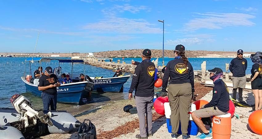 Académicos de la UABCS participan en capacitación y entrenamiento para el Desenmalle de Grandes Ballenas