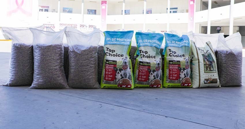 Grupo de jóvenes paceños entrega 300 kilos de croquetas al CEMAC de La Paz