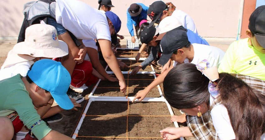 Aplican programa de huertos escolares en 10 escuelas de La Paz y Los Cabos