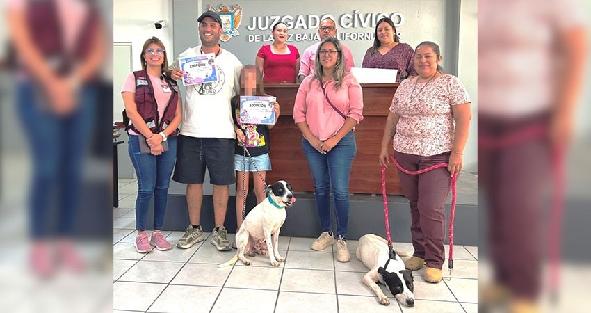 CEMAC y Juzgado Cívico de La Paz formalizan 22 adopciones responsables