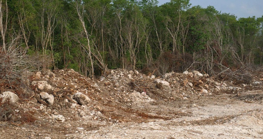 Estados Unidos da apoyo a México para Selva Maya vía USAID