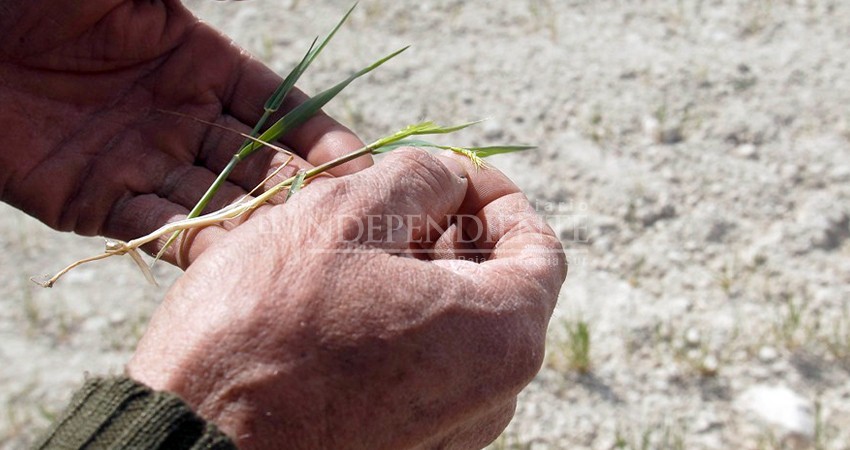 Castro Cosío: Un año histórico para Baja California Sur por la falta de lluvia