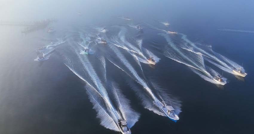 Destaca el municipio de Los Cabos en permisos de pesca deportiva