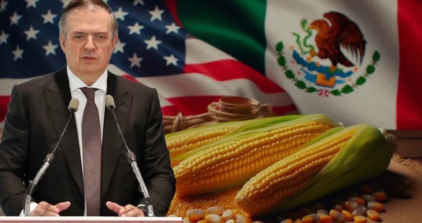 'A lo mejor nos lo ganan': Ebrard acerca del panel del T-MEC sobre maíz transgénico