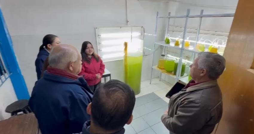 Instalan laboratorio de semilla de ostión en Guerrero Negro