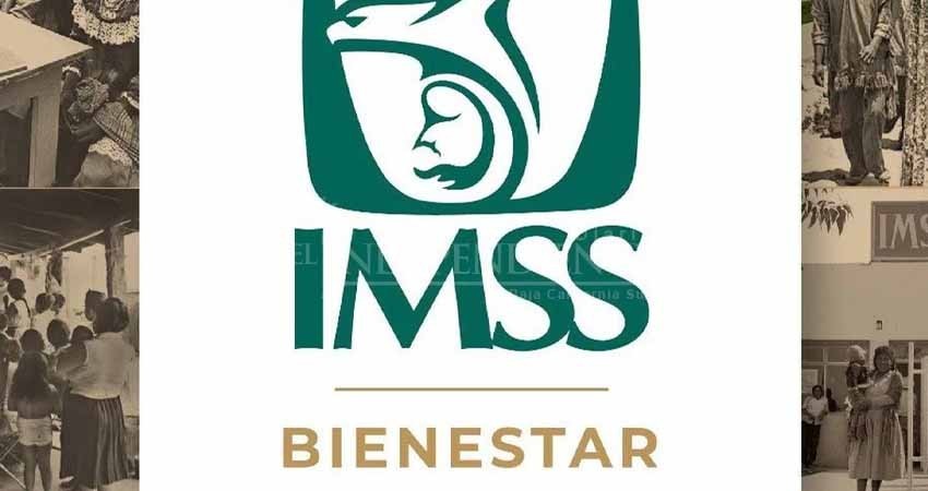 No hay recortes al presupuesto de salud; se redireccionará el recurso: Guadalupe Vázquez