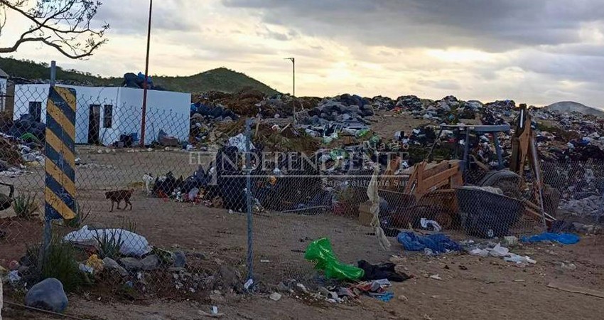 CLEAN UP: Baja California Sur es la entidad que genera más residuos por persona