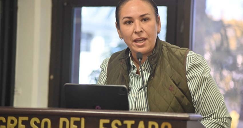 Llama diputada Alondra Torres a la unidad política