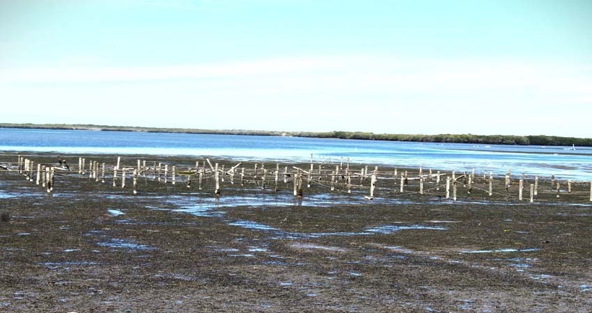Baja California Sur cuenta con diez cuerpos de agua certificados