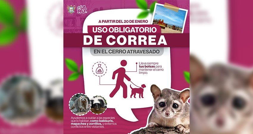 Ayto de La Paz implementa medidas para proteger la fauna del Cerro Atravesado