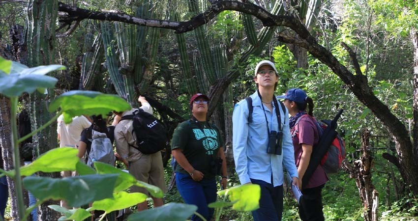 La importancia del turismo sostenible como modelo para un futuro responsable