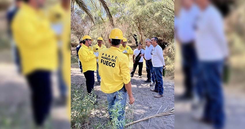 Se han retirado más de 600 hectáreas de material vegetativo para prevención de incendios fores-tales en BCS