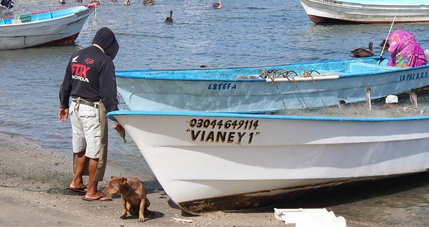 Convoca Turismo Municipal a una reunión con permisionarios náuticos de La Paz