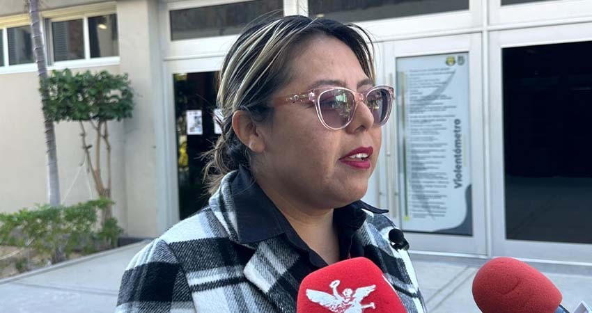 Propone la diputada Valentín Vázquez que madres solteras, trabajadores del campo y jóvenes sean prioridad en programas de vivienda