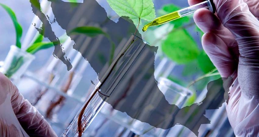 EU seguirá vigilando que regulación biotecnológica en México se base en ciencia