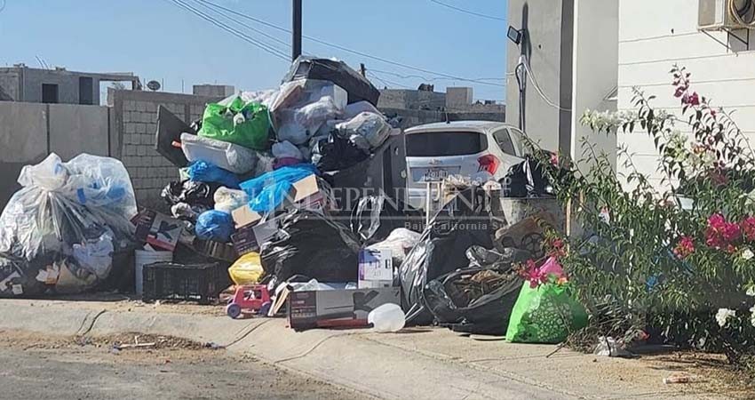 Ya viene la "Mega limpieza Estatal 2025" para Baja California Sur, organizada por Clean Up