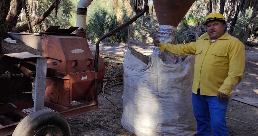 Continúan las actividades de prevención de incendios en el Oasis de Mulegé: SEPUIMM
