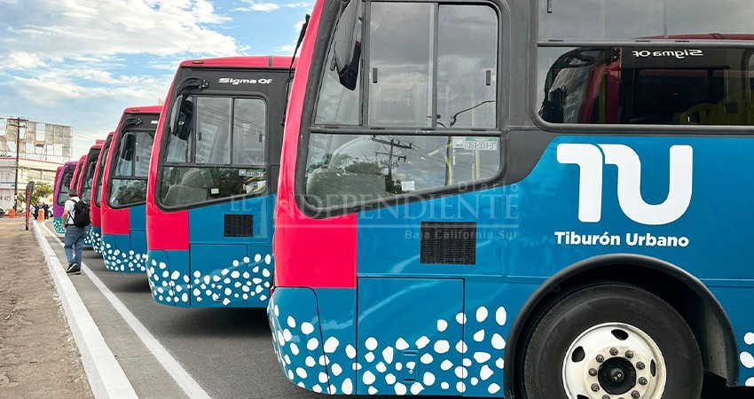 Reducen costo del pasaje del Tiburón Urbano en La Paz, de 16 a 12 pesos