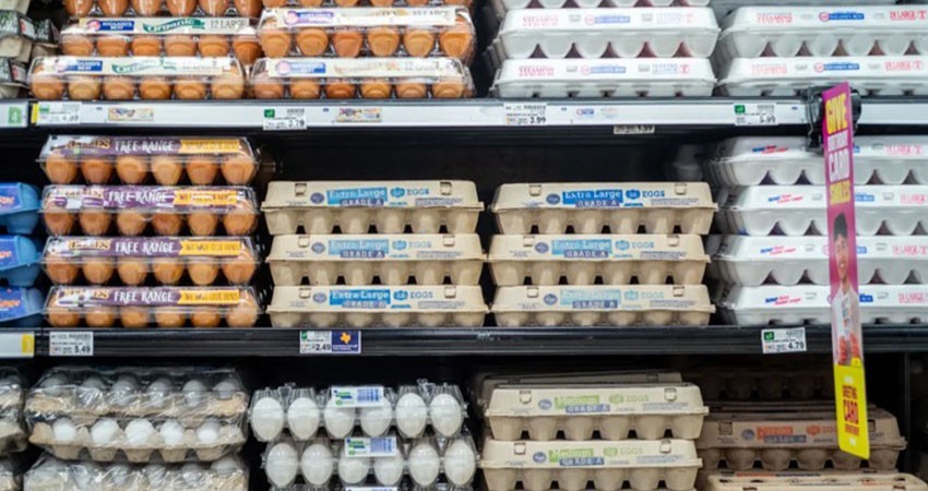 Surgen traficantes transfronterizos de huevo; asaltan camiones distribuidores