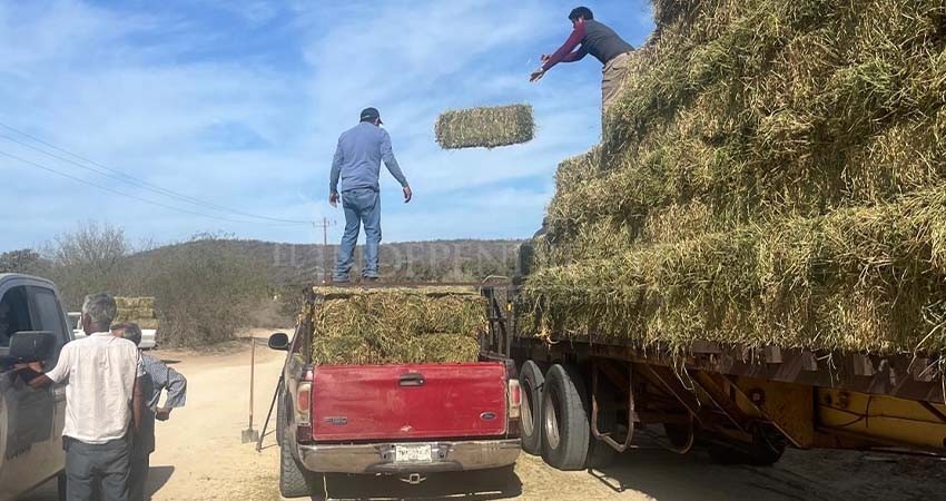 Rancheros Sudcalifornianos recaudan medio millón de pesos para atravesar crisis por sequía