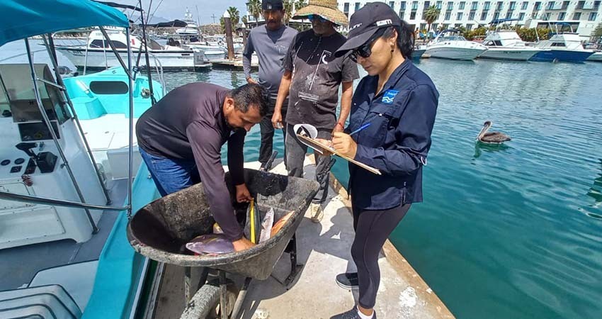 En marcha el programa de medición de pesca de IMIPAS-FONMAR