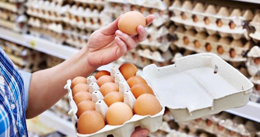 Consumir pollo y huevo no representa peligro de contagio de influenza aviar: Ssa