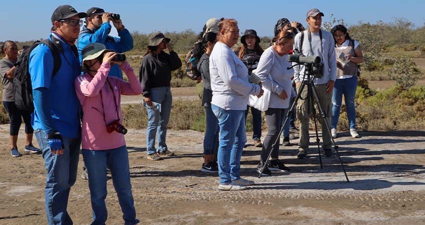 Turismo Municipal de La Paz promueve el aviturismo con curso básico