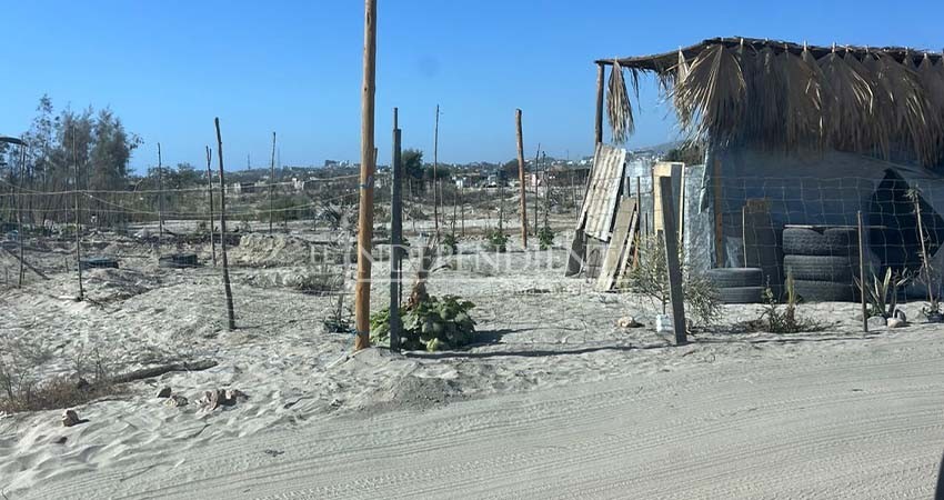 Protección Civil Los Cabos pedirá a CONAGUA apoyo para desalojar la nueva invasión