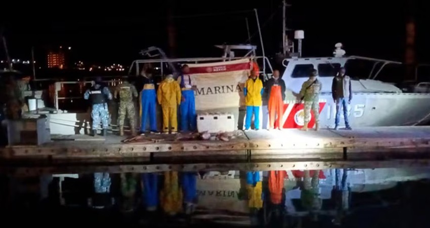 Profepa detiene a 5 personas por pesca ilegal de totoaba en golfo de California