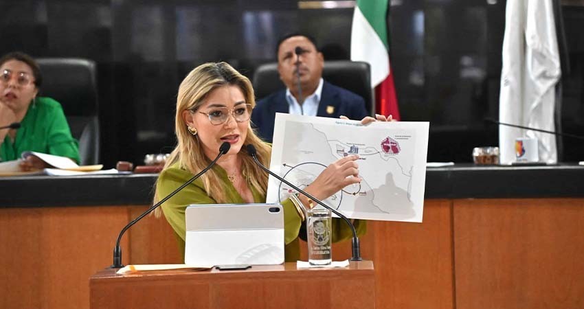 Exhortan a PROFEPA y SEMARNAT federal a que nieguen permisos y proteja el Golfo de California del proyecto gasífero, “SAGUARO”