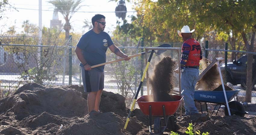Producirá SEPUIMM 40 mil plantas para reforestación de espacios públicos