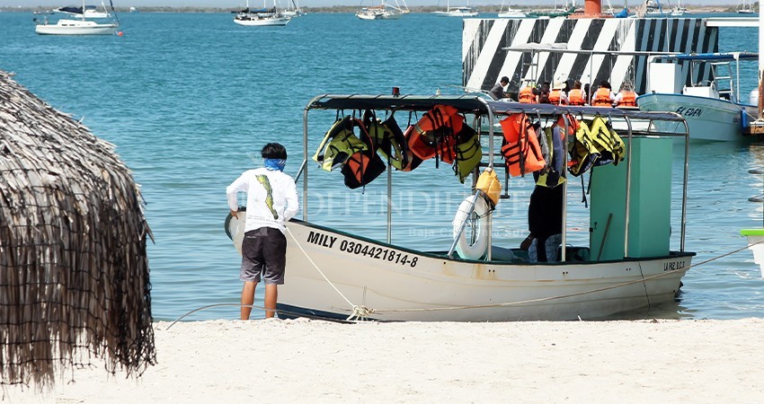 Detenida la temporada del tiburón ballena en La Paz