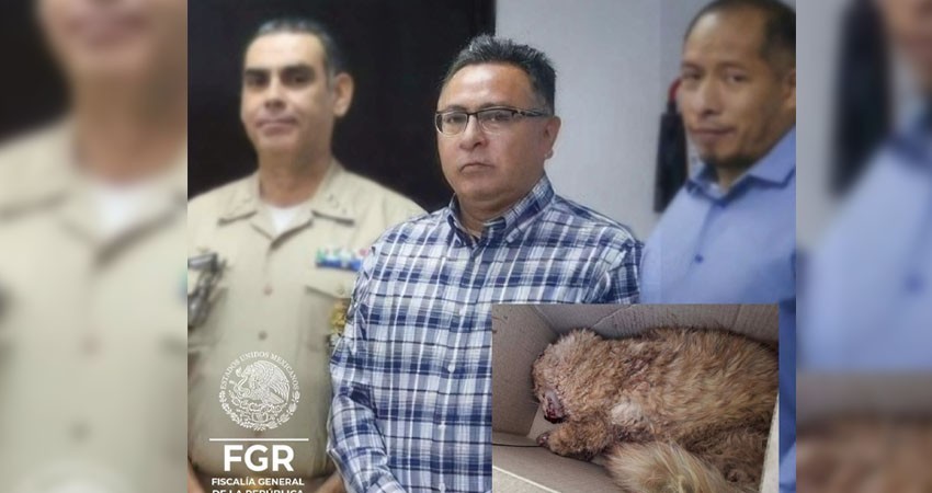 Denuncian al delegado de la FGR por matar a un gatito