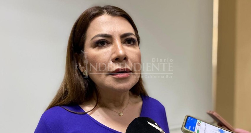 “Voté a favor del desafuero. Jamás votaría para detener una investigación”: Lupita Saldaña