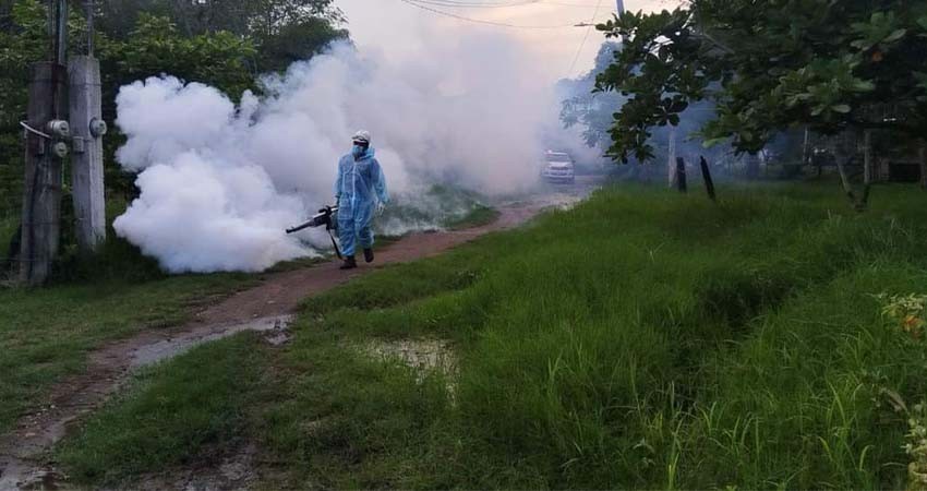Casos de dengue en México superan los 3 mil; reportan 18 muertes
