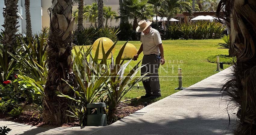 Proyectan cambios en dinámica laboral de hoteles; en Los Cabos 50 mil personas laboran para el sec-tor