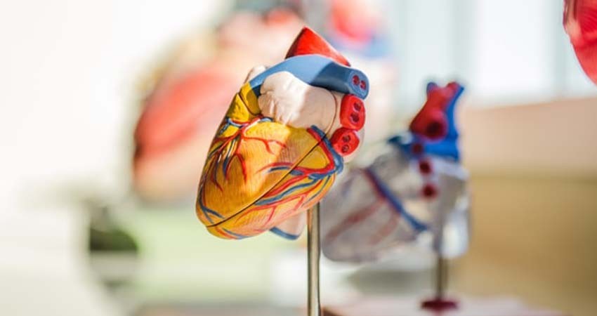 El 60 % de los mexicanos tiene riesgo de desarrollar enfermedades cardiovasculares