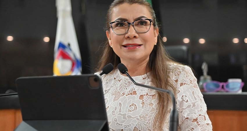 Llaman a FEPADE, INE y órganos de control a intervenir en las elecciones del 1 de junio