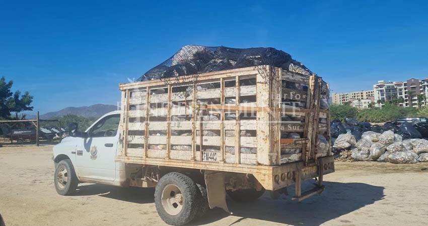 Transporte de carga logra participación dentro de obras federales en Los Cabos