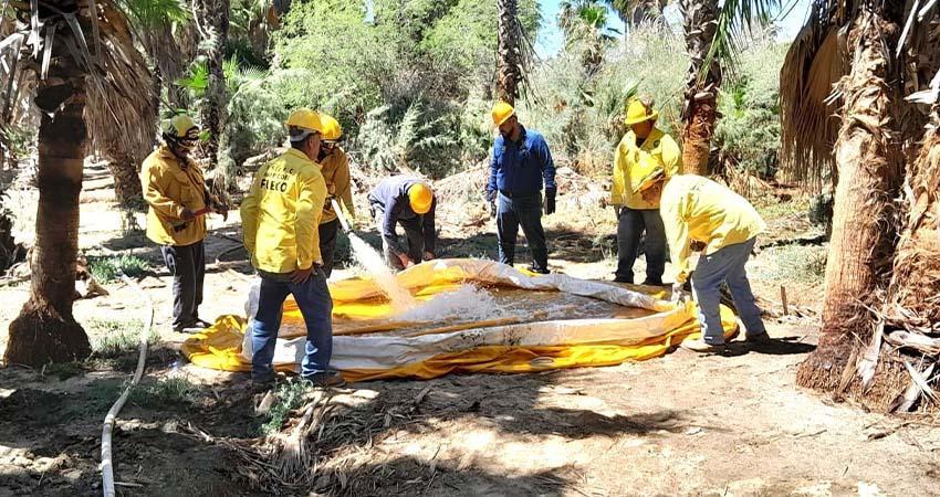 Reciben brigadistas de Santiago y Boca de la Sierra un taller para la atención de incendios foresta-les
