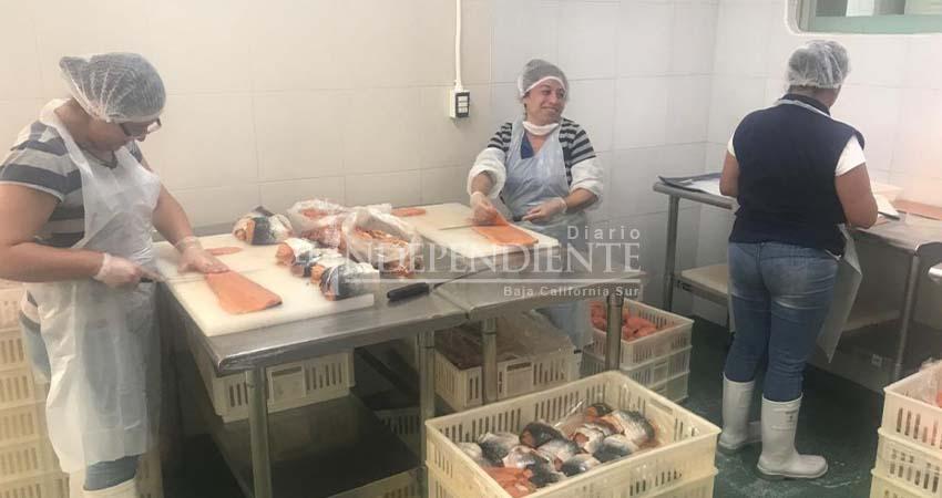 Comercializadoras: el reto de hacer llegar pescado sostenible a los supermercados