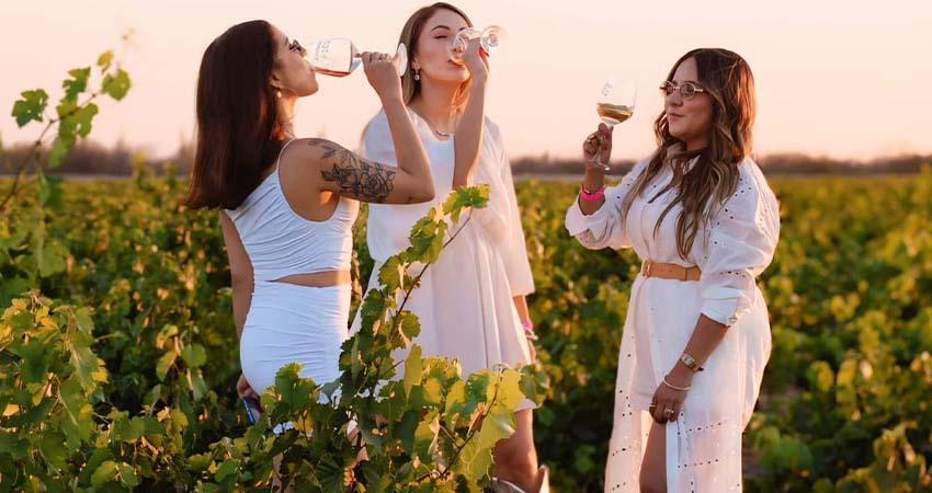 Este sábado 21 de junio realizarán “La Vendimia 2025”, en Comondú