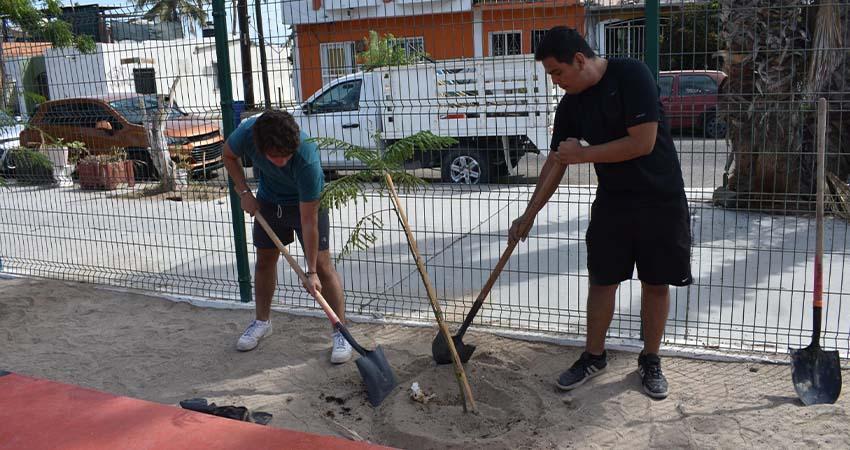 Se suma Juventud Municipal a jornadas de reforestación en colonias
