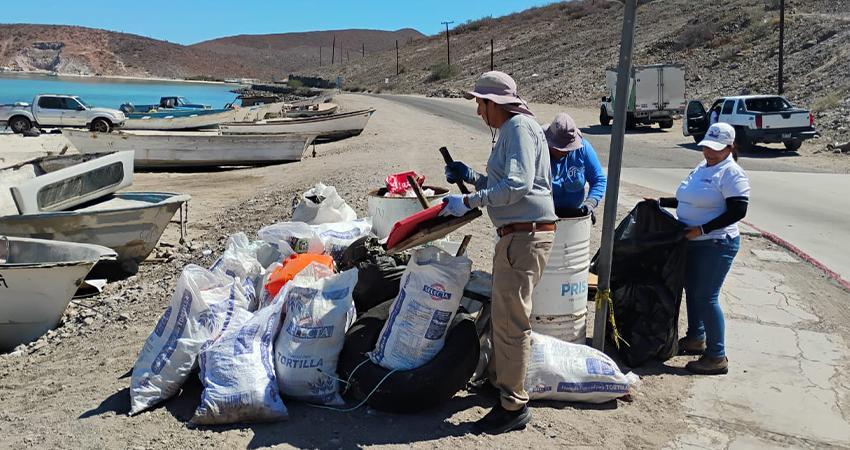 Recolecta Zofemat más de 9 toneladas de residuos en playas de La Paz