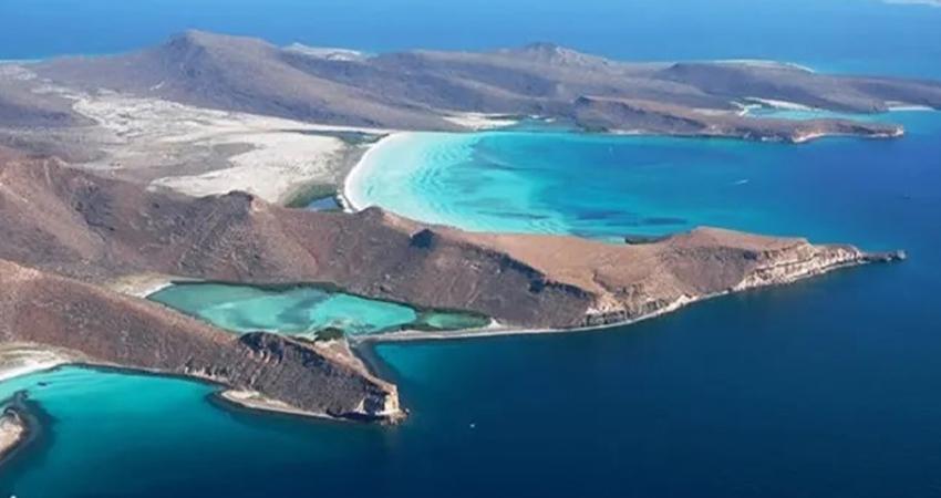 Sigue México en lista negra de UNESCO por desproteger a vaquita marina